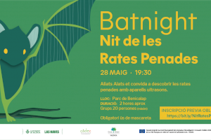 Dues nits per seguir amb aparells ultrasons a les rates penades del Parc de Benicalap
