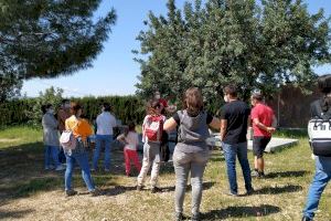 Riba-roja descubre “El Secret Visigot” a los turistas con visitas guiadas en el 50 aniversario del hallazgo del Pla de Nadal - (foto 9)