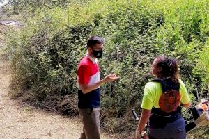 Empiezan los trabajos de limpieza de los barrancos de Serra