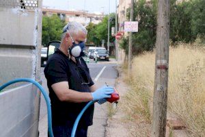 El plan para combatir el mosquito: 40 tratamientos anuales en espacios públicos de Puçol