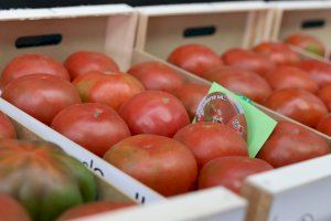 Las Jornadas Gastronómicas de El Perelló siembran del mejor tomate del mundo la oferta de los restaurantes locales del 4 al 13 de junio Las Jornadas Gastronómicas de El Perelló siembran del mejor tomate del mundo la oferta de los restaurantes locales del 4 al 13 de junio
