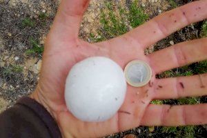 Granizo en Los Ruices, Requena. Imagen de Pablo Carrión Granizo en Los Ruices, Requena. Imagen de Pablo Carrión