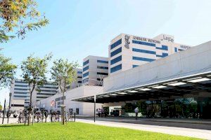 Sanidad abre una bolsa de empleo para cubrir vacaciones con MIR y recién graduados en enfermería Sanidad abre una bolsa de empleo para cubrir vacaciones con MIR y recién graduados en enfermería
