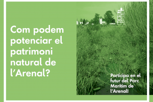 El Ayuntamiento abre a la ciudadanía el diseño del Parc de l’Arenal de Burriana - (foto 5) El Ayuntamiento abre a la ciudadanía el diseño del Parc de l’Arenal de Burriana - (foto 5)