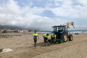 L'Ajuntament d'Alcalà-Alcossebre ultima el condicionament de les platges L'Ajuntament d'Alcalà-Alcossebre ultima el condicionament de les platges