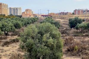 Compromís vuelve a exigir a Luis Barcala una reunión urgente con AVANT para desbloquear y aprobar los pasos provisionales en el futuro Parque Central
