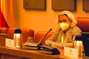La portavoz adjunta del PP, María José Ferrer San Segundo, defiende el derecho civil valenciano en el Congreso
