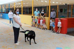 El CEIP Novenes de Calatrava de Burriana celebra la III edició de les Jornades d’Esport Adaptat - (foto 5) El CEIP Novenes de Calatrava de Burriana celebra la III edició de les Jornades d’Esport Adaptat - (foto 5)