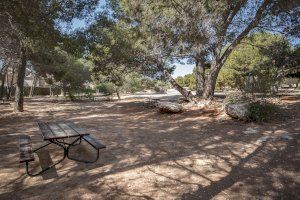 El Ayuntamiento aprueba el proyecto de remodelación del parque de La Vallesa El Ayuntamiento aprueba el proyecto de remodelación del parque de La Vallesa