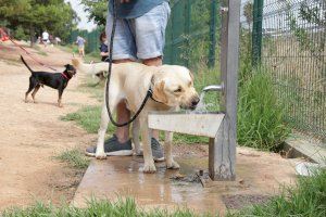 Paterna obliga a los propietarios de perros a la identificación por ADN