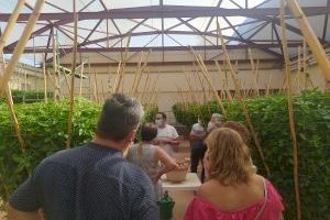 Bétera recibe a los primeros visitantes del Hort de les Alfàbegues