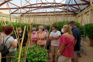 Bétera recibe a los primeros visitantes del Hort de les Alfàbegues - (foto 3) Bétera recibe a los primeros visitantes del Hort de les Alfàbegues - (foto 3)