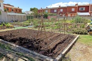 Benicàssim abre la tercera convocatoria para la cesión y explotación de los huertos urbanos sostenibles Benicàssim abre la tercera convocatoria para la cesión y explotación de los huertos urbanos sostenibles