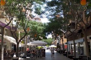 Las calles de San Vicente del Raspeig se engalanan de Hogueras con motivos fogueriles - (foto 7)