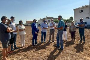 La Alcachofa de Benicarló mejorará su calidad vegetal gracias al apoyo de la Diputación - (foto 3) La Alcachofa de Benicarló mejorará su calidad vegetal gracias al apoyo de la Diputación - (foto 3)