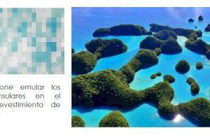 El Ayuntamiento licita las obras de rehabilitación del Mercado de Carolinas modernizando su imagen con una inversión cercana al medio millón de euros - (foto 3)