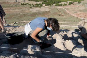Arqueòlegs de la UA expliquen Cabezo Redondo, els seus avanços i troballes, en les Jornades de Portes Obertes d'aquest cap de setmana - (foto 2)