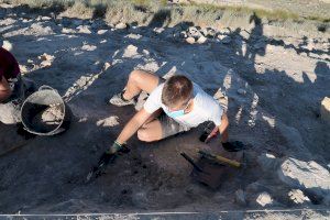 Arqueòlegs de la UA expliquen Cabezo Redondo, els seus avanços i troballes, en les Jornades de Portes Obertes d'aquest cap de setmana - (foto 3)