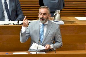 El PPCV pide la destitución del director general de producción agraria del Ministerio por responsabilizar a los agricultores del cotonet