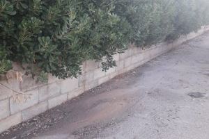 L’Ajuntament d'Alzira apel·la al civisme del veïnat perquè no dipositen bosses de fem al camí de l’ombria - (foto 2)