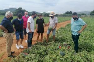 El PPCS exigeix a la Diputació ajudes per la pedra després de 3 anys d'espera per a cobrar del Consell per temporals en 2018 i 2019