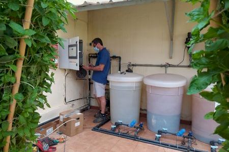 El cultivo de les alfàbegues de Bétera se moderniza con un programador de riego