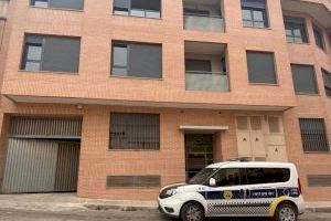 Desmantelada una plantación de marihuana con casi 600 plantas en una finca en Benaguasil