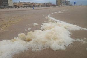 Cs demana explicacions sobre l'origen de l'espuma groga a la platja del Perellonet - (foto 2)