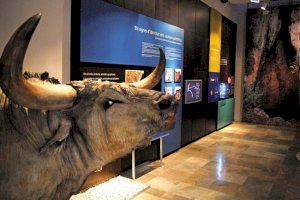 Descobreix el patrimoni turístic cultural de la província de Castelló