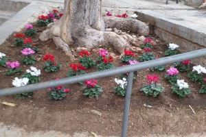 El Ayuntamiento de Peñíscola amplía las tareas de mejora de la jardinería en el municipio El Ayuntamiento de Peñíscola amplía las tareas de mejora de la jardinería en el municipio