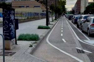 Giner critica retrasos de hasta 8 meses para reponer el arbolado en diferentes barrios de Valencia Giner critica retrasos de hasta 8 meses para reponer el arbolado en diferentes barrios de Valencia
