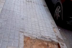 Giner critica retrasos de hasta 8 meses para reponer el arbolado en diferentes barrios de Valencia - (foto 2) Giner critica retrasos de hasta 8 meses para reponer el arbolado en diferentes barrios de Valencia - (foto 2)