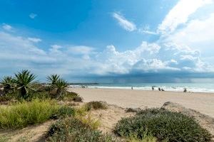 Les platges del Puig, Puçol i la Pobla de Farnals són aptes per al bany