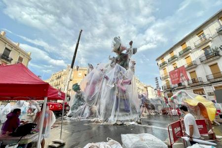 Una Plantà mirant al cel