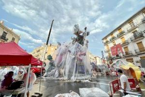 Una Plantà mirant al cel Una Plantà mirant al cel