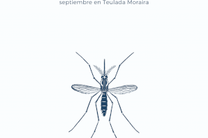 Actuaciones de control de plagas durante el mes de septiembre en Teulada Moraira