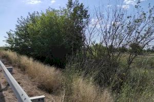 L'Ajuntament d'Almussafes insta la Confederació Hidrogràfica del Xúquer a netejar el Barranc del Tramusser