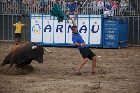 Vila-real exhibe tres toros cerriles como colofón taurino de las fiestas de la Virgen de Gracia