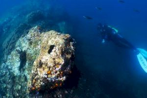 Los valencianos Héctor Ripollés y Lledó Bernat subcampeones de España de Video Submarino - (foto 10)