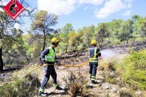 Extingit l'incendi forestal a Biar - (foto 2)