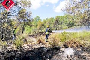 Extingit l'incendi forestal a Biar - (foto 3)