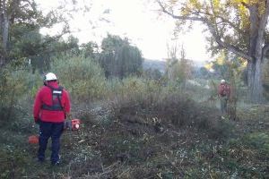 Les Coves de Vinromà ofereix oportunitats laborals amb la contractació de 8 persones desocupades