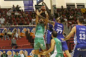 HLA Alicante, campeón de la Lliga Valenciana Oro - (foto 2)