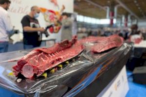 El ronqueo de un atún de 200 kg abre el concurso de tartar de atún rojo del Mediterráneo en el que vence el restaurante Tapes La Xara (Dénia) - (foto 3) El ronqueo de un atún de 200 kg abre el concurso de tartar de atún rojo del Mediterráneo en el que vence el restaurante Tapes La Xara (Dénia) - (foto 3)