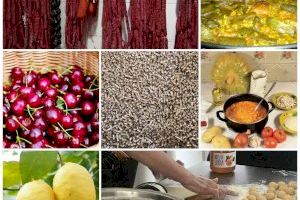 El Ayuntamiento de Serra crea una guia de productos y servicios locales de quilómetro 0