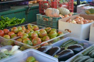 L'Aurora y las ONG de rescate humanitario crean alianzas con el comercio local de Burriana - (foto 5) L'Aurora y las ONG de rescate humanitario crean alianzas con el comercio local de Burriana - (foto 5)