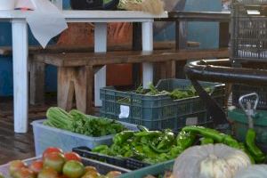 L'Aurora y las ONG de rescate humanitario crean alianzas con el comercio local de Burriana - (foto 8) L'Aurora y las ONG de rescate humanitario crean alianzas con el comercio local de Burriana - (foto 8)