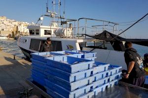 Los barcos de arrastre de Castellón y Peñíscola salen a pescar tras dos meses de veda voluntaria