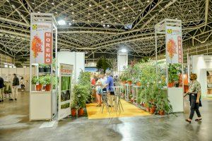Iberflora y Ecofira arrancan con fuerza en el regreso de los certámenes presenciales a Feria Valencia