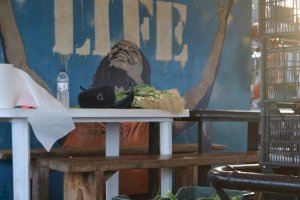 El port de Burriana s'aferma com a referent mundial de les ONG de rescat humanitari - (foto 10)